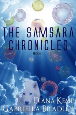 Samsara Chronicles I